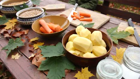 Overview-of-decorated-picnic-table-full-of-vegetables,-potatoes,-carrots-and-peas-at-outdoor-picnic