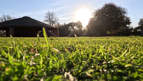 sunlit park with grass and pavilion