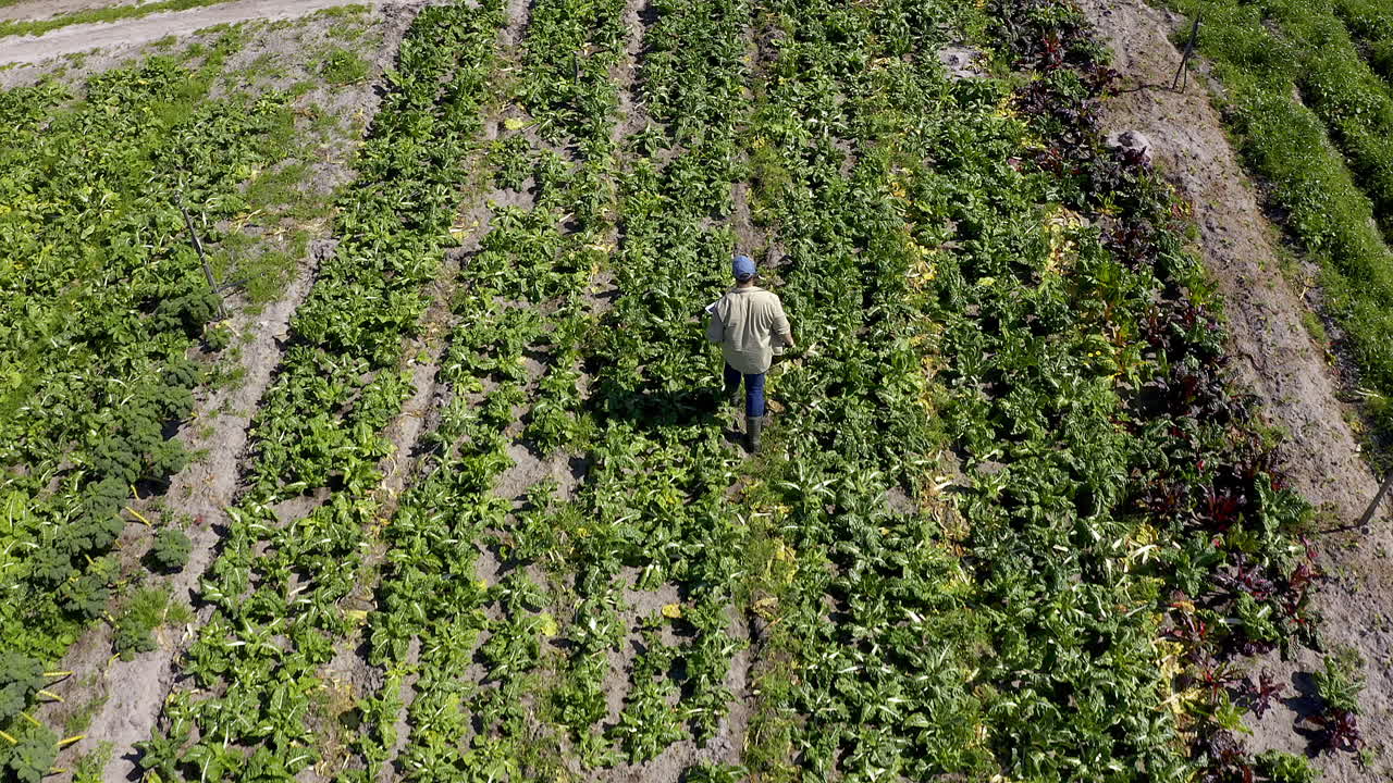 usando tecnología para sacar el máximo provecho de su granja