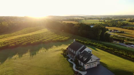 countryside estate home set among rural farmland and orchard meadow during sunrise