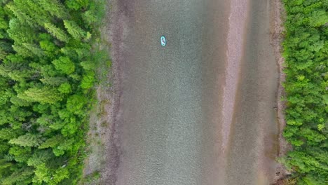 topdown of rafters on flathead river through evergreen trees near glacier national park in montana, usa