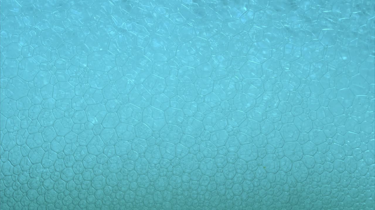 Timelapse of foam bubbles, super macro closeup