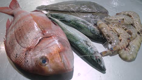 Surtido-De-Mariscos-En-Una-Mesa-De-Metal,-Besugo,-Caballa,-Camarones-Y-Pescados-Planos