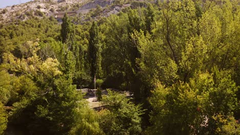 Una-Hermosa-Vista-De-Los-árboles-Y-El-Río