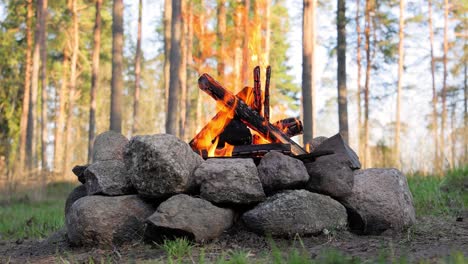 Brennendes-Lagerfeuer-Im-Wald