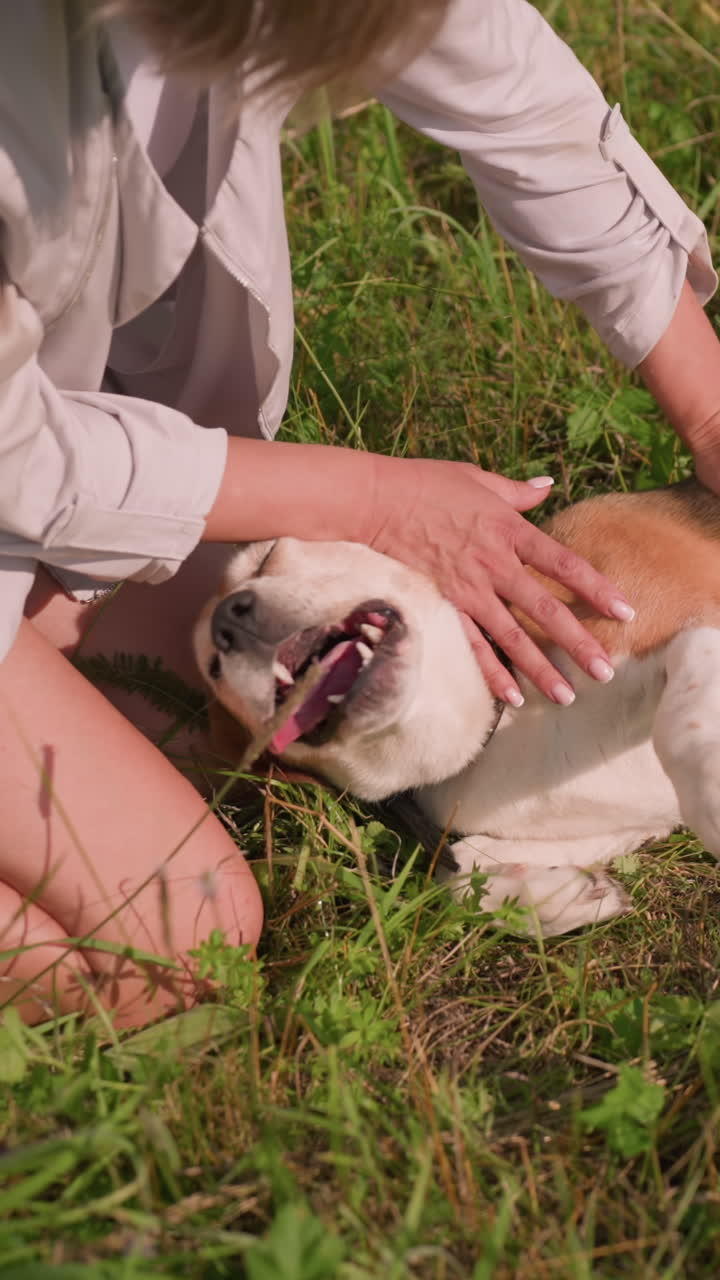 애완동물 애호가가 개 배를 장난스럽게 는 동안 개는 즐겁고 은 날 잔디에서 리를 흔들며, 풍경은 울창한 초록색 환경과 함께 개와 주인 사이의 무관심하고 즐거운 연결을 묘사합니다.