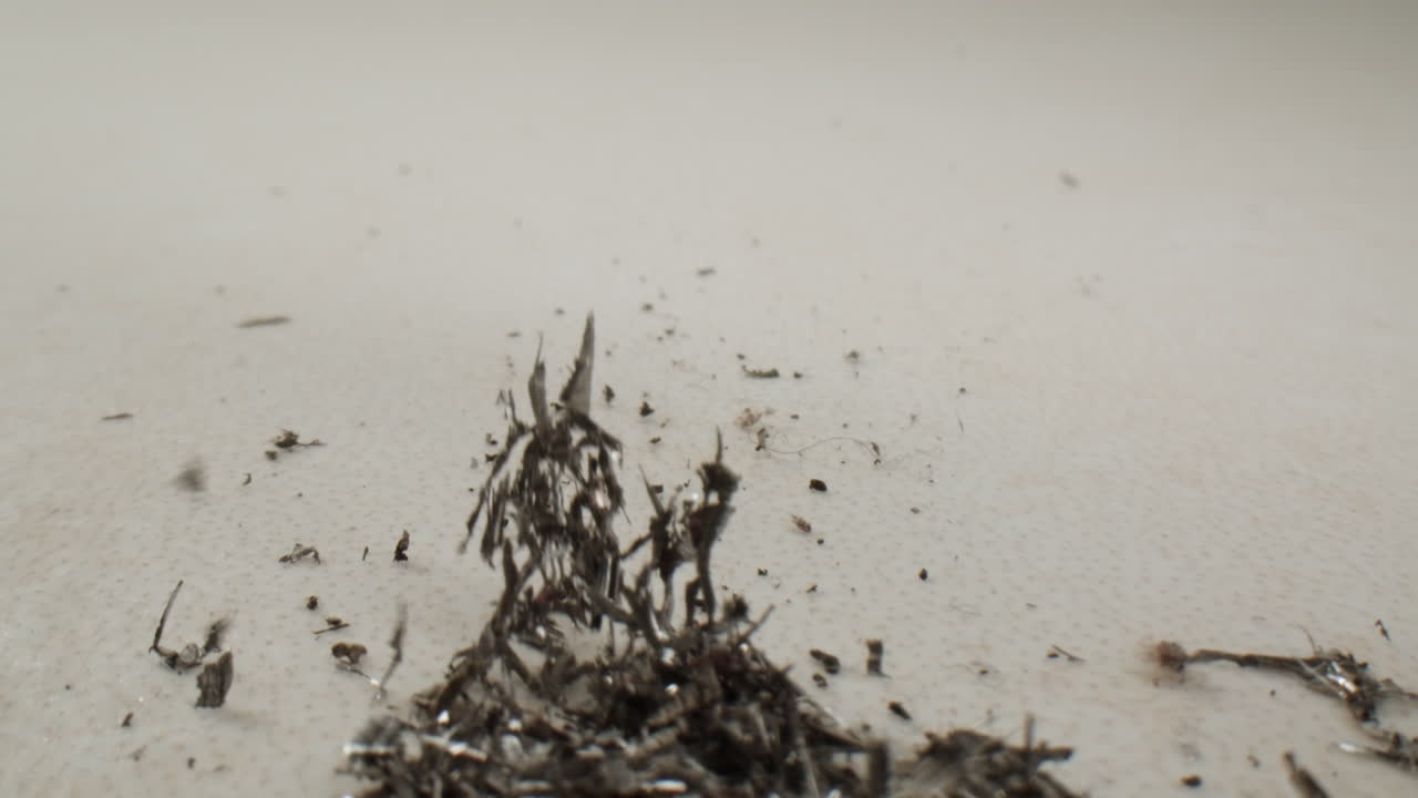 금속 어리와 자기적 끌어당기기