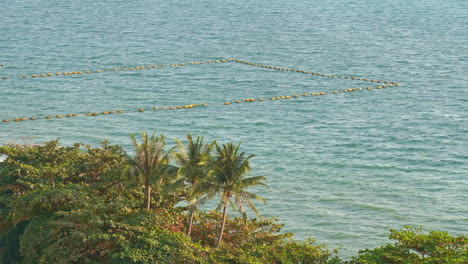 Demarcated-Area-in-the-Sea-with-Trees-on-the-Foreground,-Jetski-Sailing-in-Frame