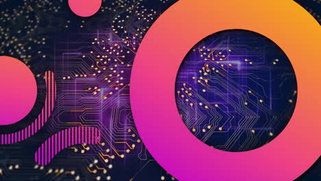 animación de anillos y círculos rosados sobre la transferencia de datos en la placa base