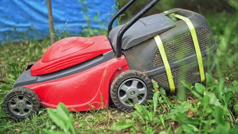 red lawn mower in the garden. boy is cutting grass by electrical mower machine outdoors.