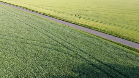 a guy rides a bike along a path between fields