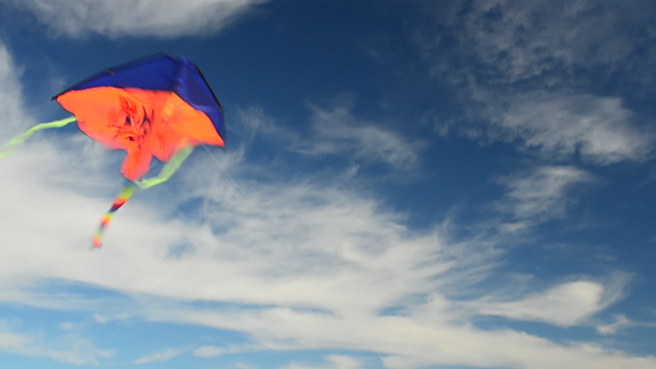 Kite in the sky. Summer Time in Beach Sea Shore
