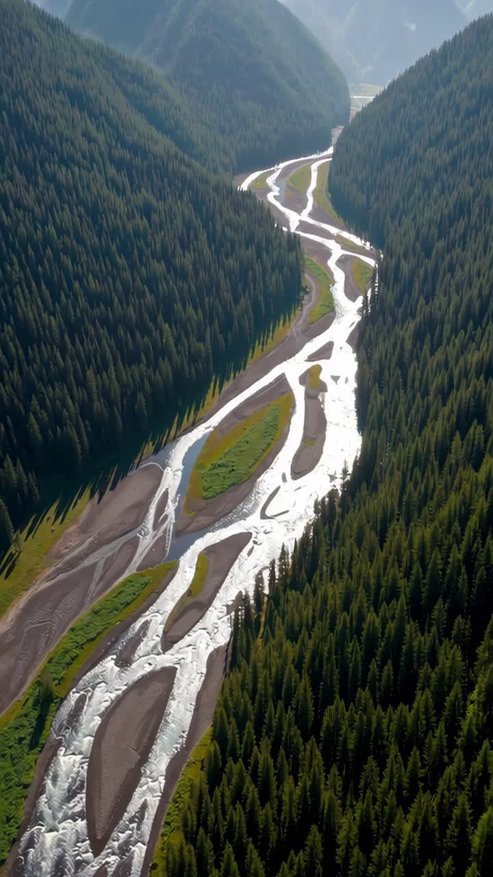 Aerial View of a Winding River Through a Lush Forested Valley