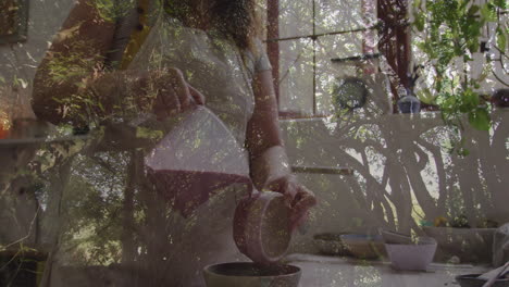pouring liquid into bowl, person with animation of lush green tree branches