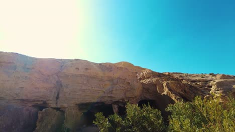 a canyon with a river between mountains and palm trees