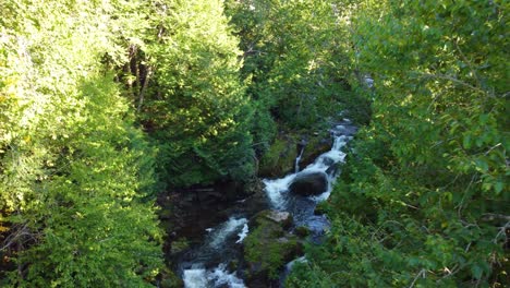 Ein-Verträumter-Flug-Durch-Eine-Unberührte-Wildnis,-Wo-Ein-Bach-Friedlich-Fließt