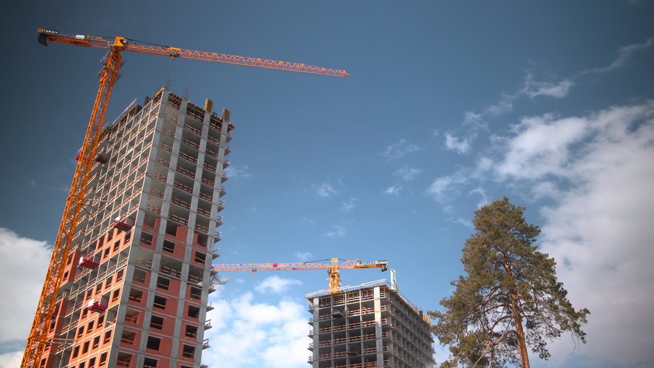 Crane Raising Highrise Beside Lone Pine, Warm Light On Concrete Facade, Scaffolding And Steel Beams, Clear . Media