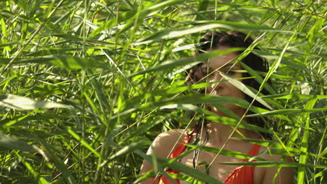 Grass-stalks-moved-by-the-wind-in-slowmotion