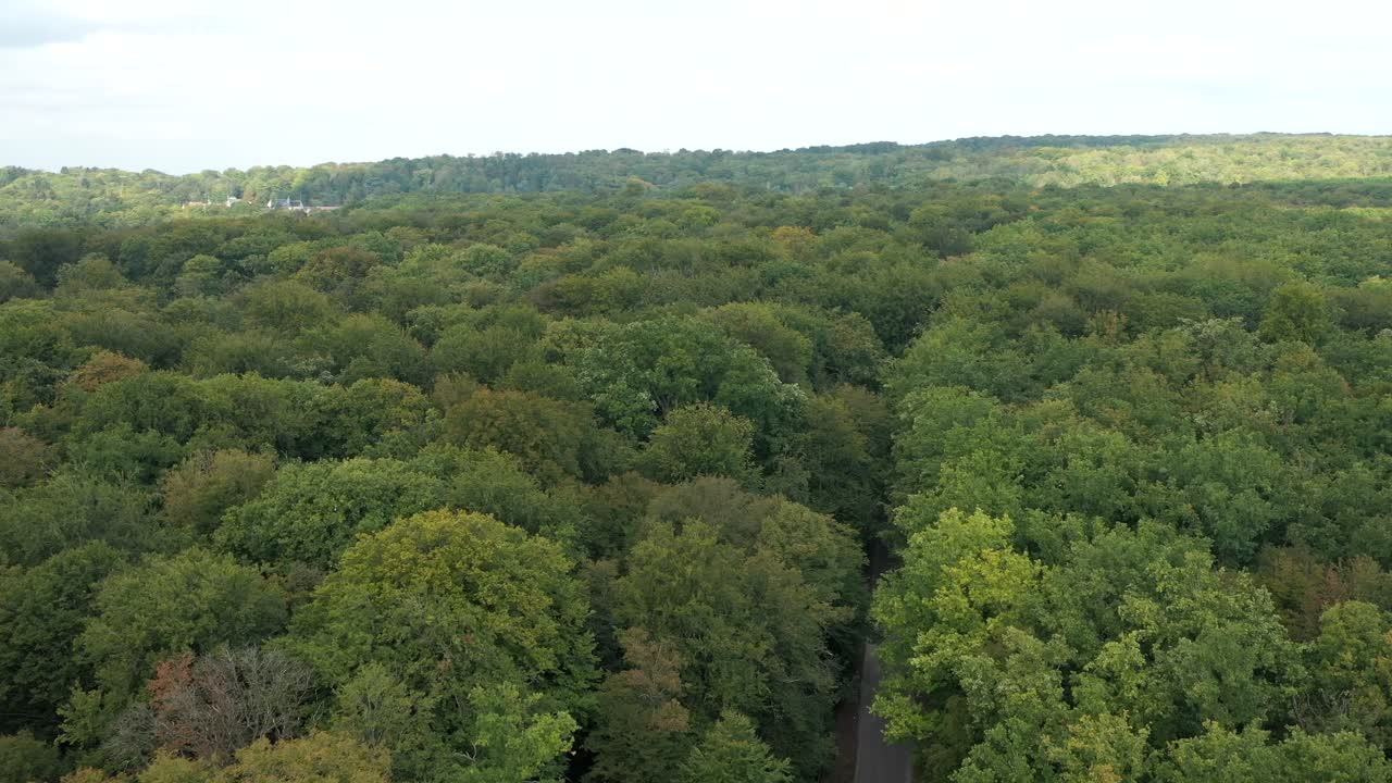 Aerial view of empty road through vast dense green forest landscape, Oise, France