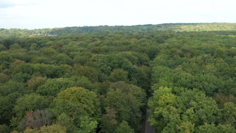 aerial view of empty road through vast dense green forest landscape, oise, france
