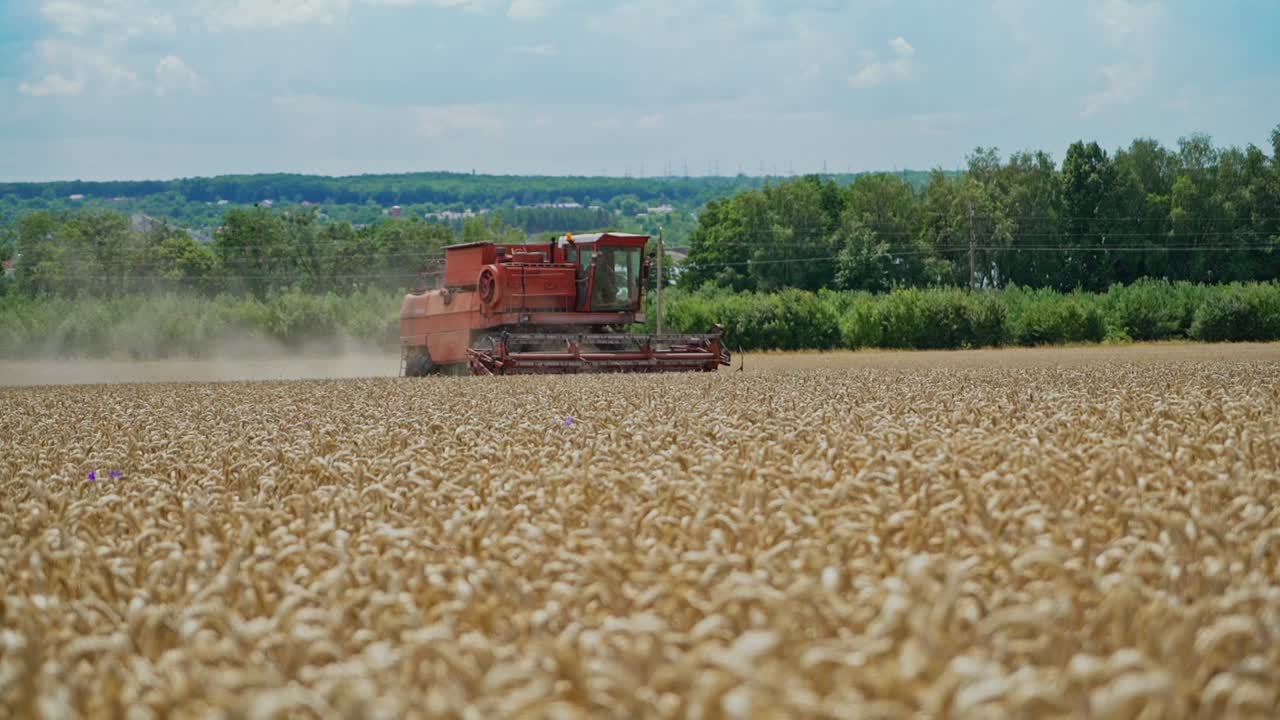 Natural view of combine harvester gathering ripe wheat at sunny day on the background of rural countryside. Harvesting grain field, crop season.