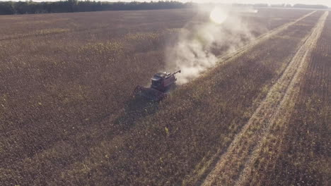 Sonnenblumen-Ernten-Die-Kamera-Fliegt-Um-Den-Mähdrescher-Luftvideo