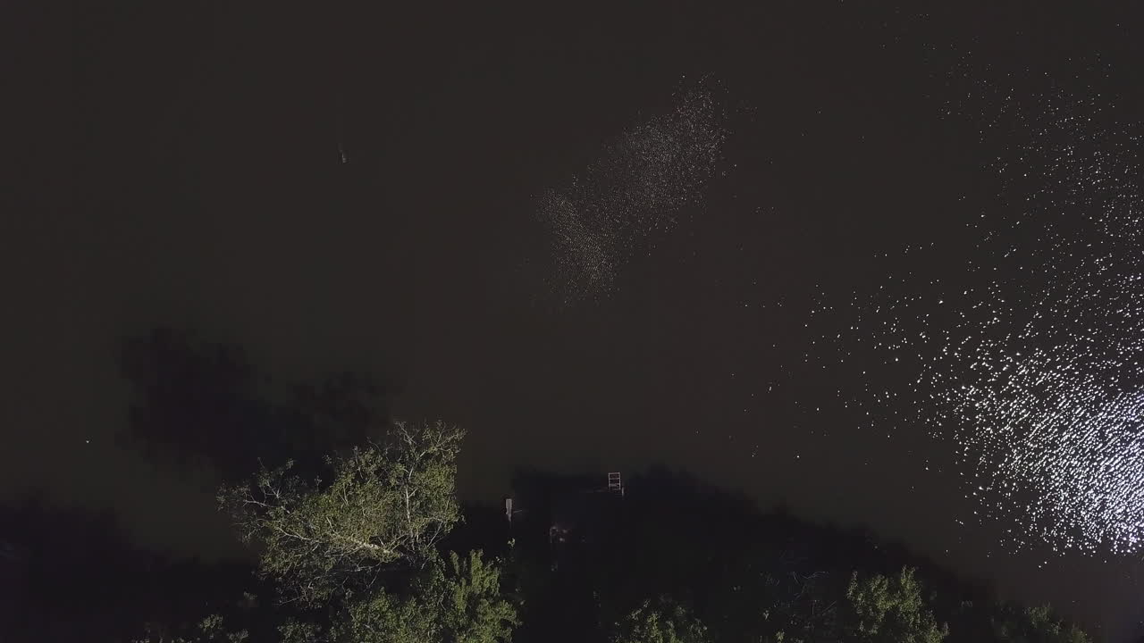 나무 들 이 있는 밤 에 강 의 공중 풍경