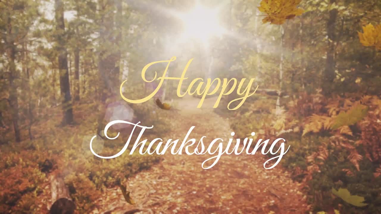 Animazione di un banner di testo "Happy Thanksgiving" su sfondo di sole che filtra attraverso un parco forestale.