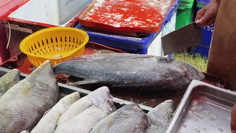 fresh fish at the market