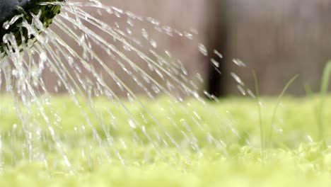 moverse metódicamente de planta en planta, asegurando una cantidad adecuada de agua