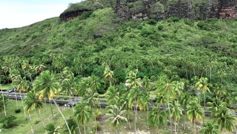 Panoramic-Vista-of-Tahiamanu-Beach,-Moorea,-French-Polynesia---Aerial-Pullback