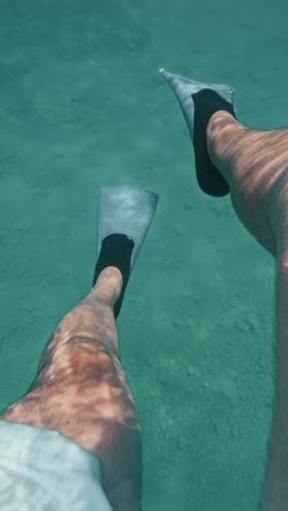 a person glides through the clear water with flippers on, exploring the calm underwater scene - vertical shot