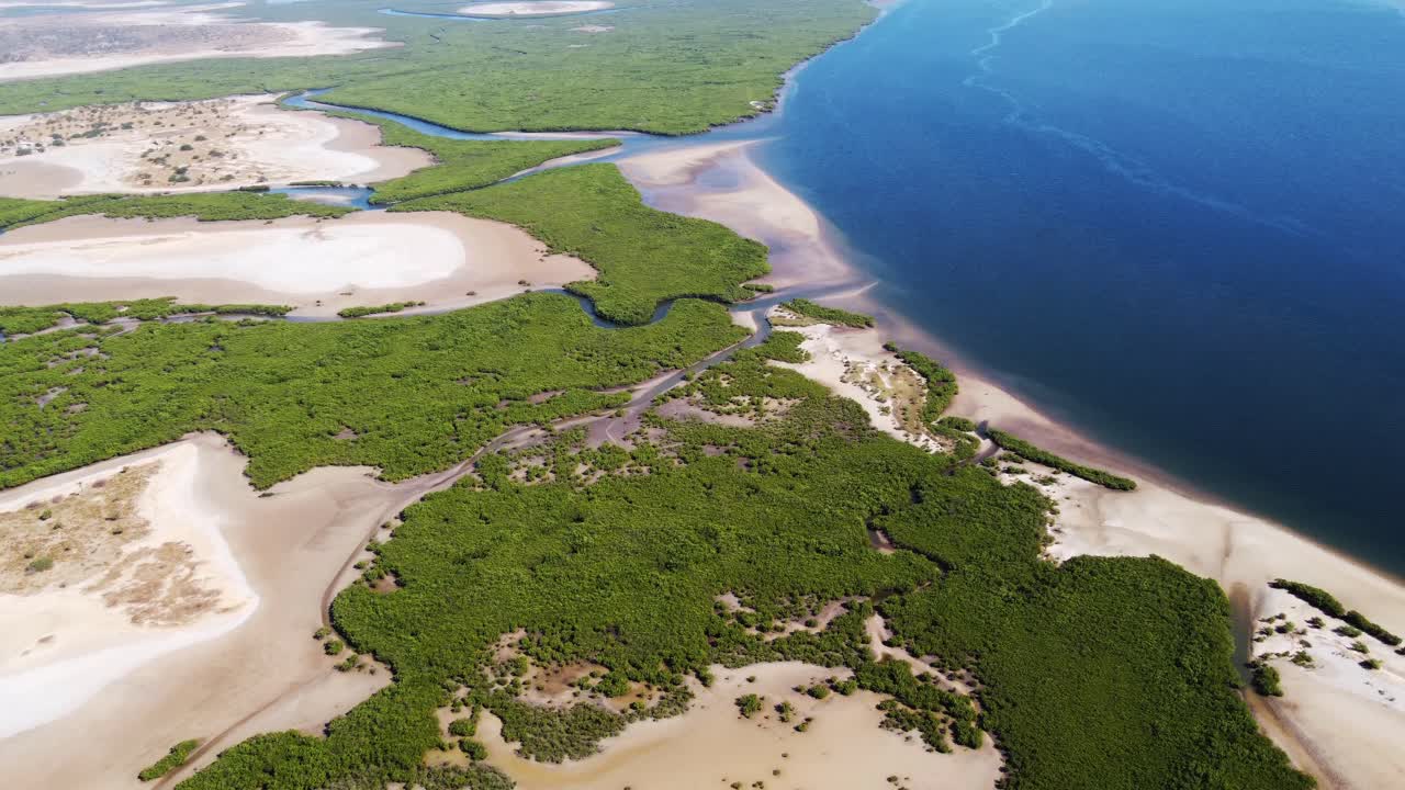 Desert ending in the salt mangroves of Senegal. Aerial