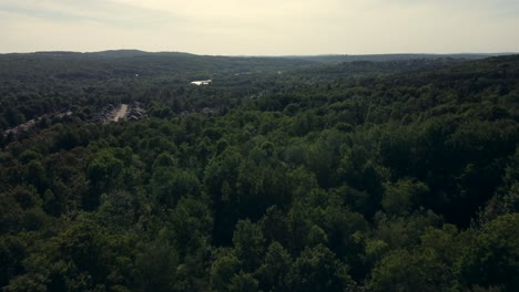 aerial drone view of sunset over green forest in rural town