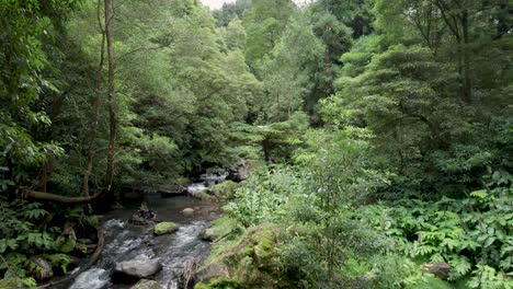 Drone-shot-of-flying-above-the-valley-of-the-ribeira-grande-river-in-lombadas,-São-Miguel-Island,-surrounded-by-different-trees