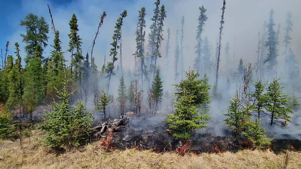 vista aérea de un incendio forestal en el campo