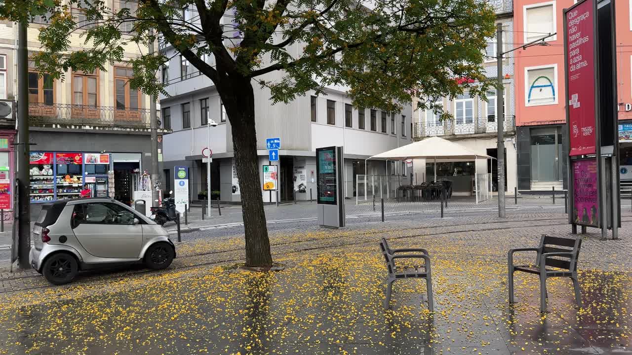 Urban Street Scene with Autumn Leaves and Parked Cars