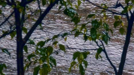 lluvias estacionales, tiempo tormentoso húmedo, pronóstico de diluvio torrencial