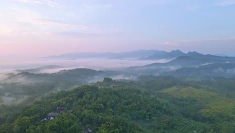 Fliegen-Sie-Im-Nebligen-Morgen-über-Die-Grüne-Tropische-Landschaft