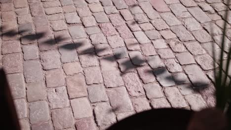 the pavement on which the shadows of the flags fall