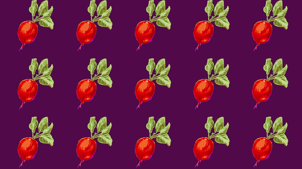 라디시 패턴: 레시피와 요리, 배경의 루프 애니메이션과 같은 주제에 이상적인 영상