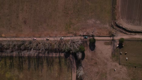 Mitten-Auf-Einem-Feld-Befindet-Sich-Eine-Straße,-Auf-Der-Autos-Fahren