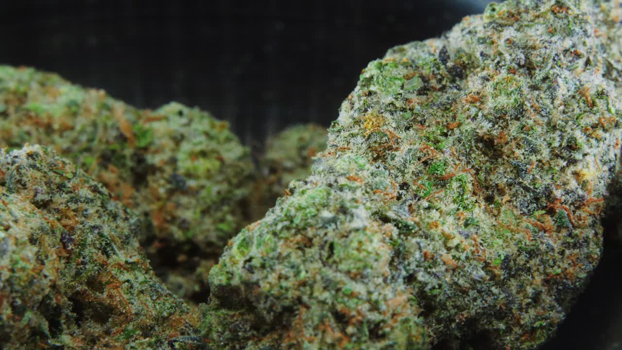 매크로 녹색 말린 마리화나 새싹은 개념 샷을 닫고 말린 마리화나 식물 더미, 주황색 트리코메스 균주, 작은 검은색 빛나는 외침, 회전 스탠드, 스튜디오 조명, 느린 동작, 4k 비디오