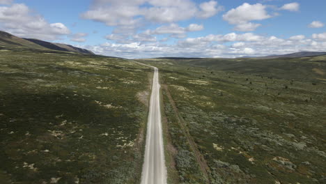 Top-view-on-the-empty-mountain-road-through-the-green-field