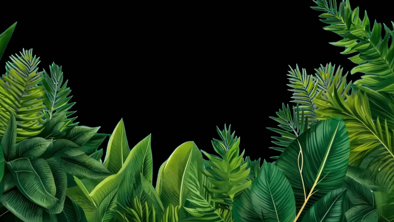 Lush tropical foliage animated overlay, transparent 4K video, alpha channel, ProRes 4444