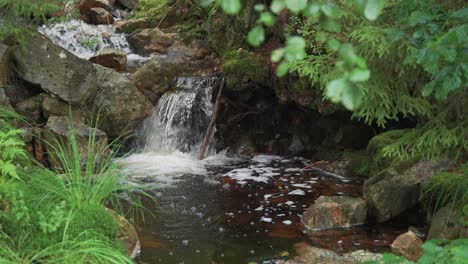 A-miniature-waterfall-on-the-shallow-stream-in-the-lush-green-summer-forest