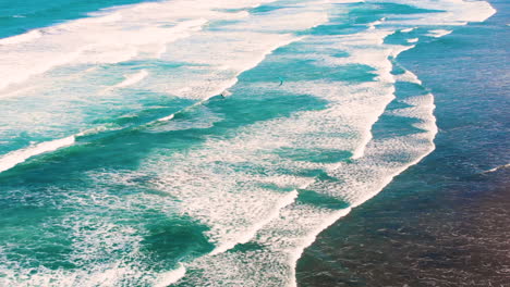 kite surfer at foamy waves of piha beach in new zealand