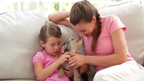 Süßes-Kleines-Mädchen-Mit-Mutter,-Die-Mit-Yorkshire-Terrier-Welpen-Spielt