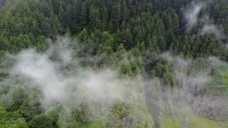 4k 30fps aerial footage oregon coast clouds over redwood forest - static shot near us route 101 coastal highway - dji drone video