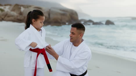 playa, karate o entrenamiento con un padre